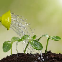 Groundwater recharge system supporting aquifer sustainability.